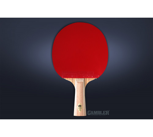 Ракетка Gambler ZEBRAWOOD CLASSIC VOLT M (коническая)