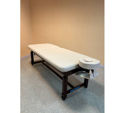 Массажный стационарный стол Essence-Tilt SET3S30+H